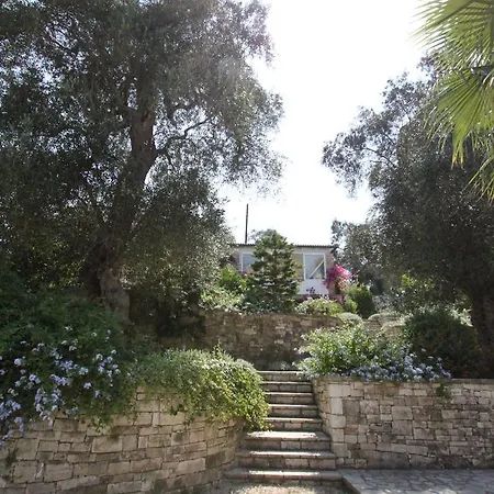 Kiparissi * Kourtaiika